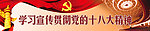 十八大学习专栏banner