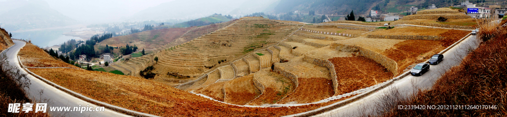 美丽的梯形田园