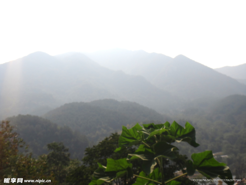 山雾