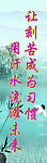 学习标语
