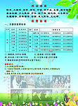 舞蹈学校宣传海报