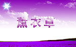 薰衣草