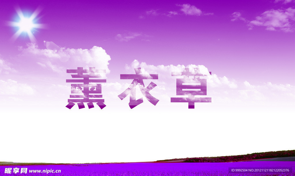 薰衣草