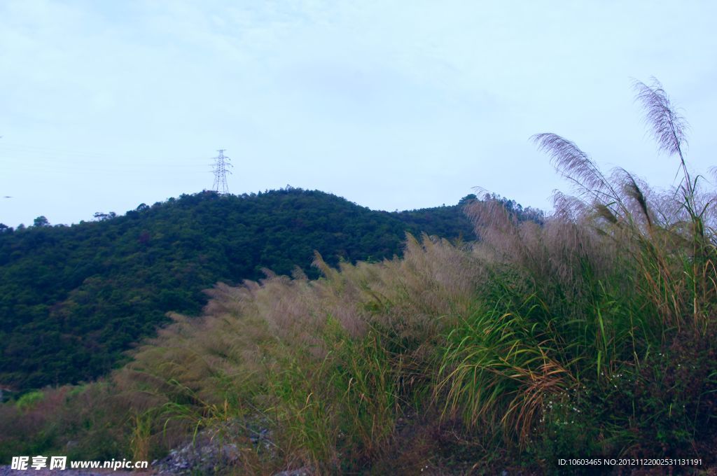 城市山水 特区风景