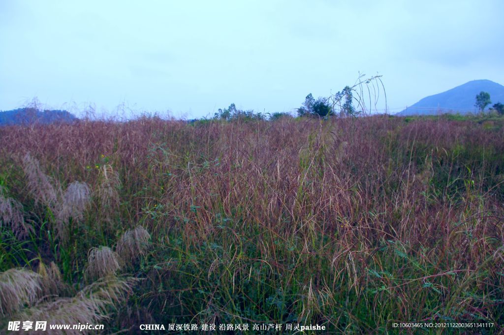 城市风景 青山绿草