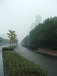 晨雾