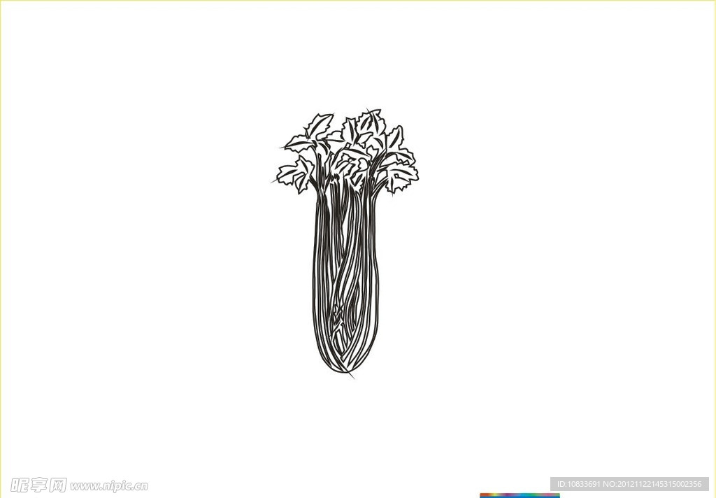 西芹