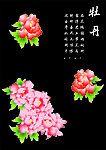 牡丹