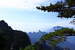 风景