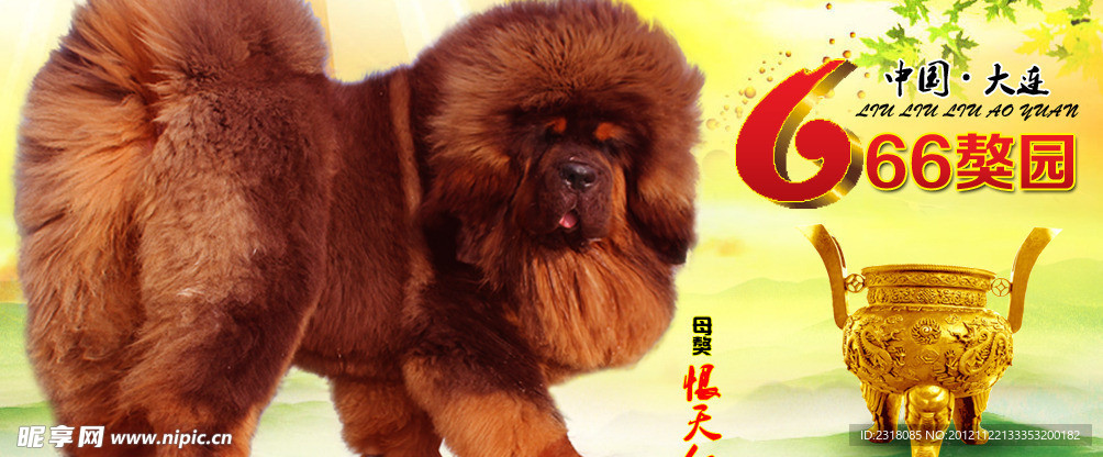 风景网站banner