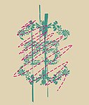 印花图案 绣花