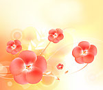 梦幻花朵