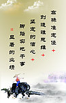 社区文化