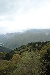 黄龙森林