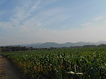 田园风光