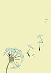 蒲公英的雨伞小人