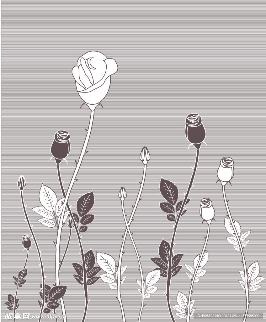 玫瑰花纹