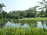 西溪湿地