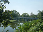 西溪湿地