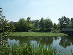 西溪湿地