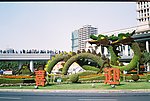 陆家嘴 中国龙景观