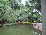 园林风景