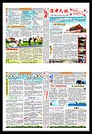 学校报纸 校报