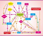 化学 分子 靶点 化学研究