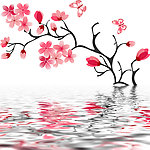 水中花卉