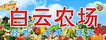 白云农场