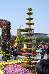 菊花塔