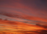 夕阳