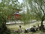 公园风景
