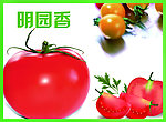 食堂文化