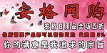 安格网络