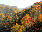 光雾山彩林