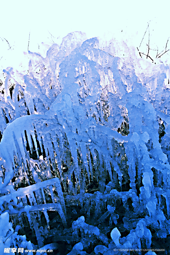 冰挂 水晶花