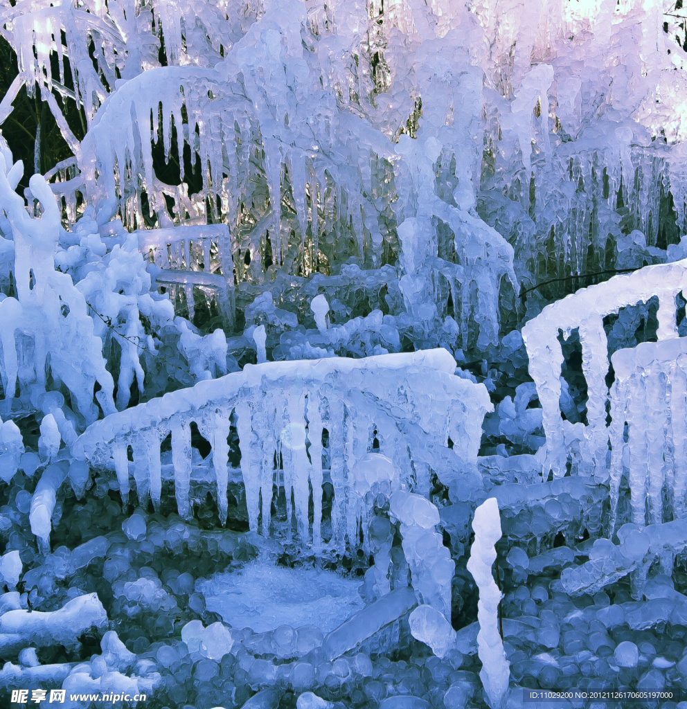 冰挂 水晶花