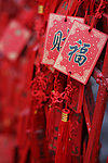 财福双至