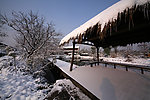 杭州西溪湿地雪景