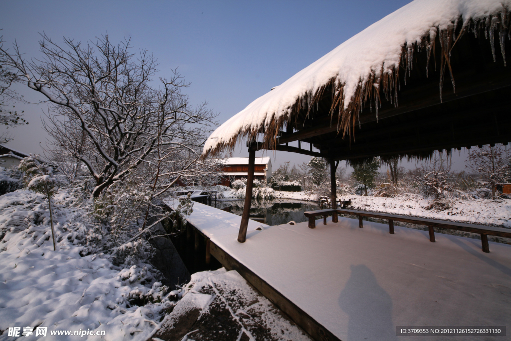 杭州西溪湿地雪景