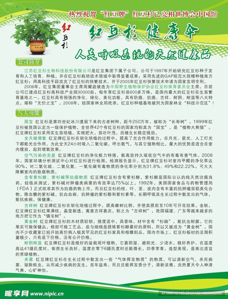 盆景宣传单