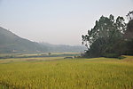 乡下风景