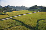 乡村