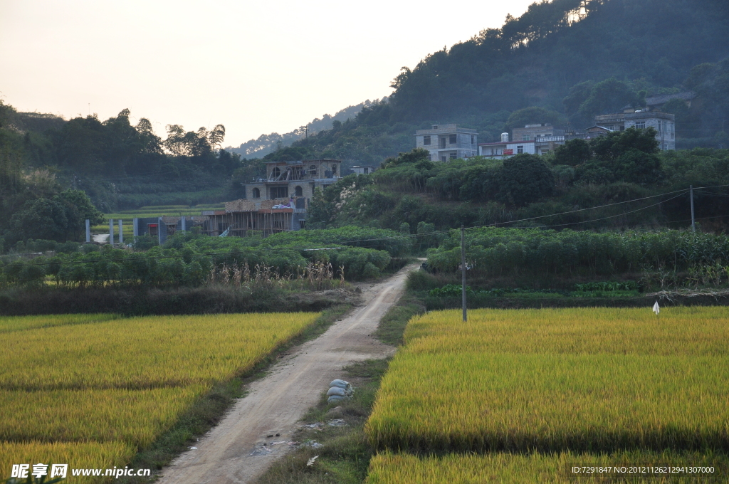 乡村的路