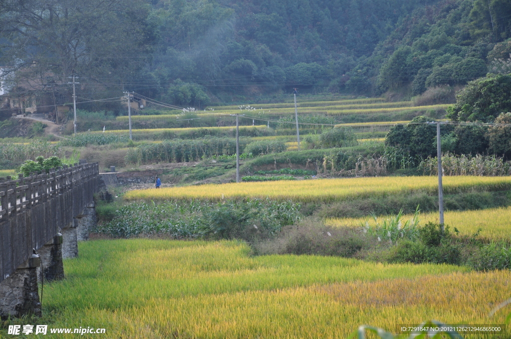 田园风光