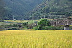 田园风光