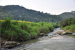 家乡小河