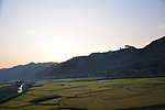 田野
