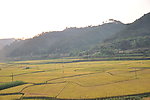 夕阳原野